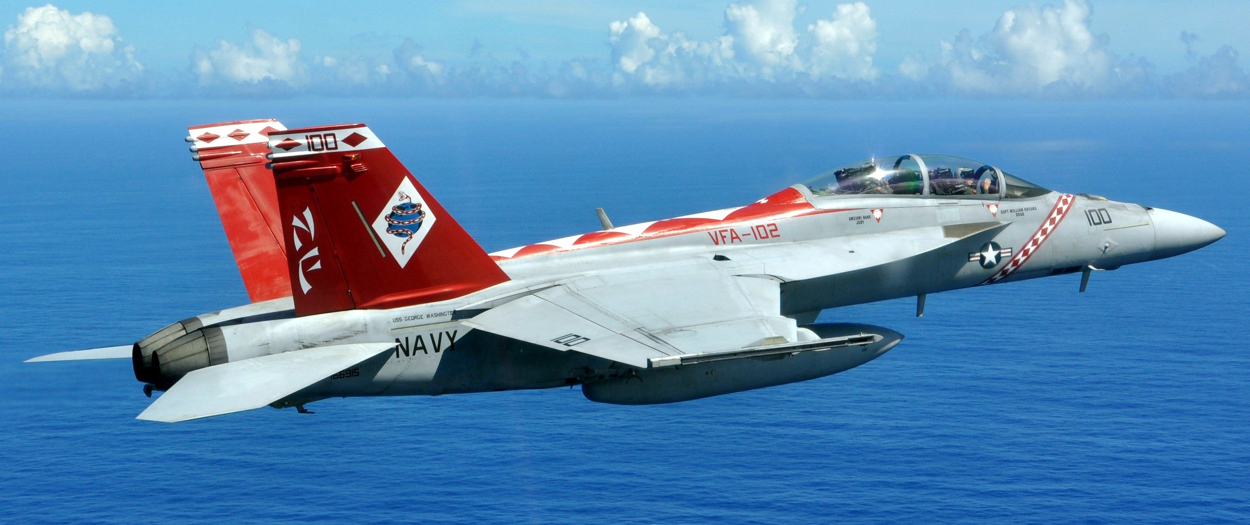 T-One Models 1/4.3 F18F Super Hornet 4.25M (13.94Feet)