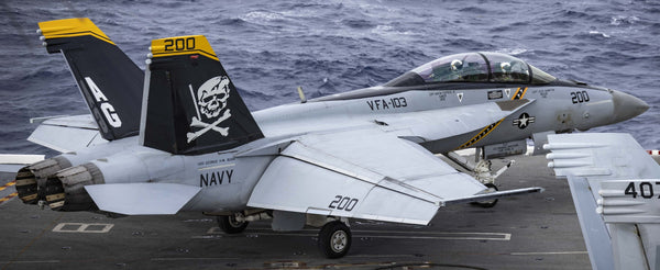 T-One Models 1/4.3 F18F Super Hornet 4.25M (13.94Feet) | Pacific