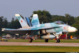 X-Treme Jets F-18C 1/8 scale ARTF Combo