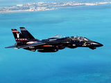 Skymaster Large F-14XL 1: 5.5 Scale ARF Plus Pro