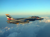 Skymaster F-14 1: 7.5 Scale ARF Plus Pro