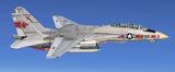 Skymaster F-14 1: 7.5 Scale ARF Plus Pro