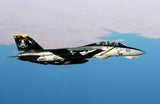 Skymaster F-14 1: 7.5 Scale ARF Plus Pro