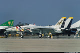 Skymaster Large F-14XL 1: 5.5 Scale ARF Plus Pro