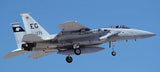 X-Treme Jets F-15 1/9.5 Scale ARTF Combo