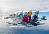 Skymaster ARF PLUS  Su-27UB/SU-30MK 1/6