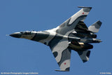 Skymaster ARF PLUS  Su-27UB/SU-30MK 1/6