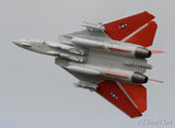 Skymaster Large F-14XL 1: 5.5 Scale ARF Plus Pro
