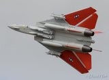 Skymaster F-14 1: 7.5 Scale ARF Plus Pro