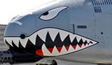 T-One Models 1/7th Scale A-10