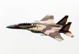 X-Treme Jets F-15 1/9.5 Scale ARTF Combo