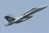 Skymaster 1:5 3/4 F-18 C, Single Seat Hornet