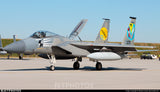 Skymaster Large F-15XXL 1: 5 Scale ARF Plus Pro