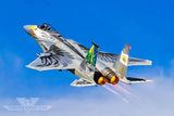 Skymaster Large F-15XXL 1: 5 Scale ARF Plus Pro