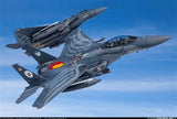 Skymaster Large F-15XXL 1: 5 Scale ARF Plus Pro