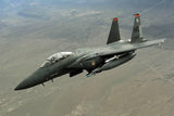 Skymaster Large F-15XXL 1: 5 Scale ARF Plus Pro