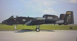 A-10 Black Snakes PNP