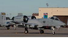 A-10 Black Snakes Gray PNP