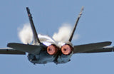 T-One Models 1/4.3 F18F Super Hornet 4.25M (13.94Feet)