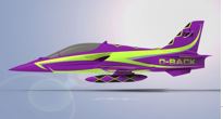 Diamondback Purple/Green