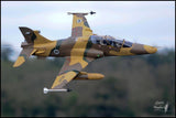 Skymaster 1/3 .65 Scale BAE, Hawk100 T-1 ARF Plus Pro