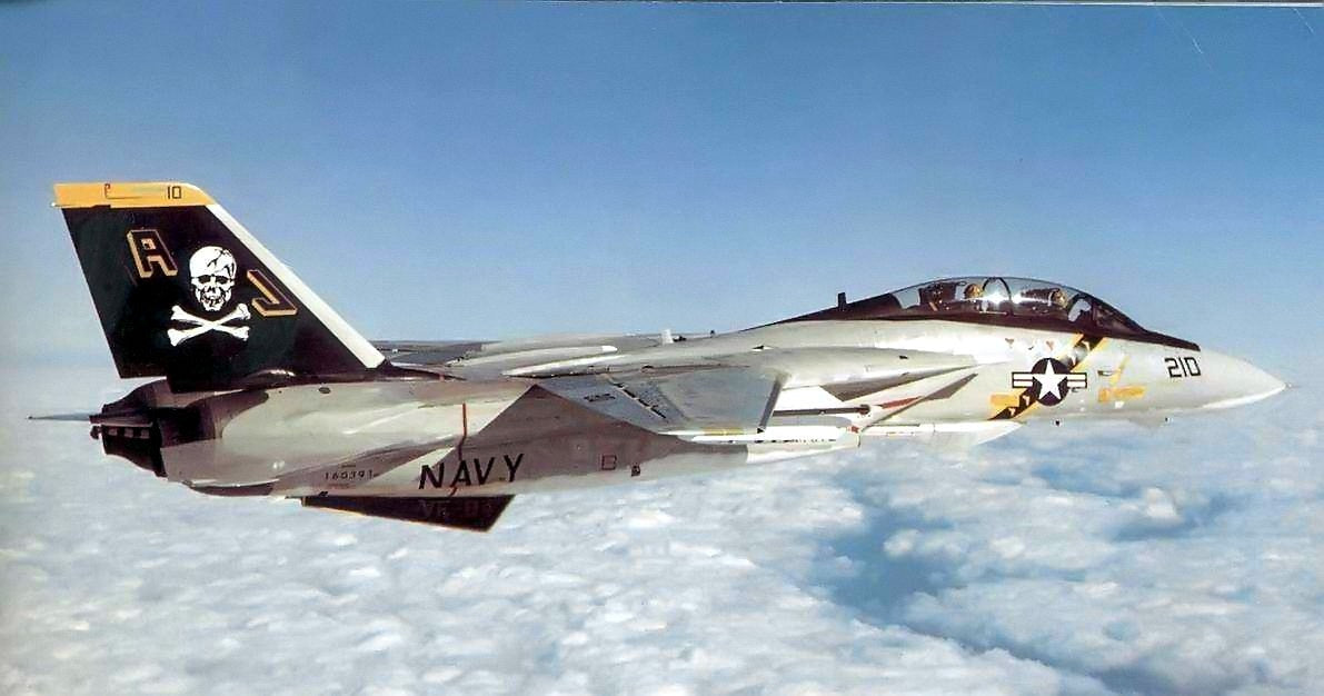 Skymaster Large F-14XL 1: 5.5 Scale ARF Plus Pro