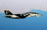 Skymaster Large F-14XL 1: 5.5 Scale ARF Plus Pro