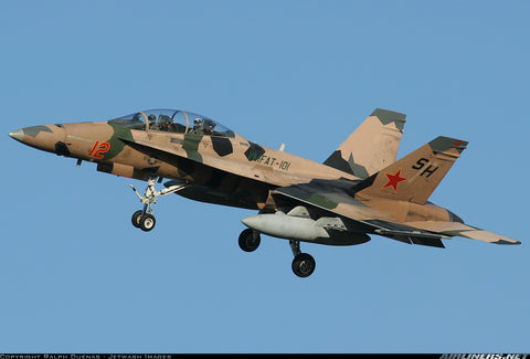 X-Treme Jets F-18F 1/8 scale ARTF Combo