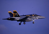 Skymaster 1:5 3/4 F-18 C, Single Seat Hornet